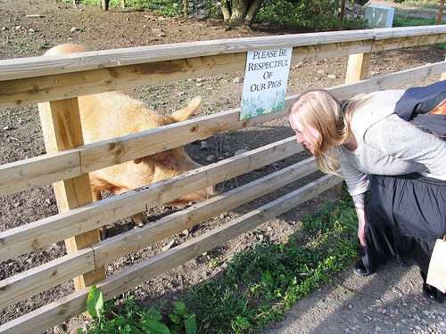 Secret Herb Garden, Edinburgh