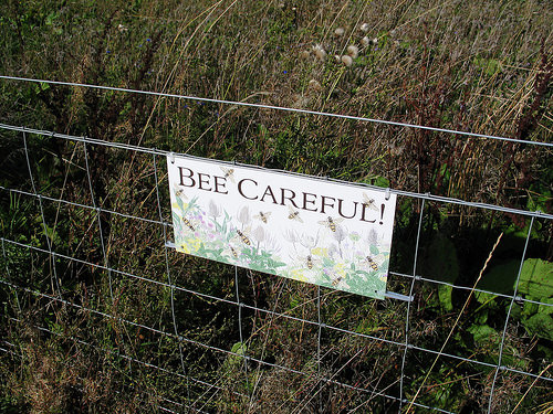 Secret Herb Garden, Edinburgh