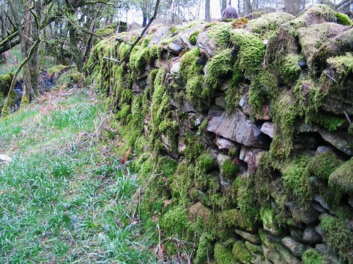 Adventures in Wordsworth Country, Apr 14