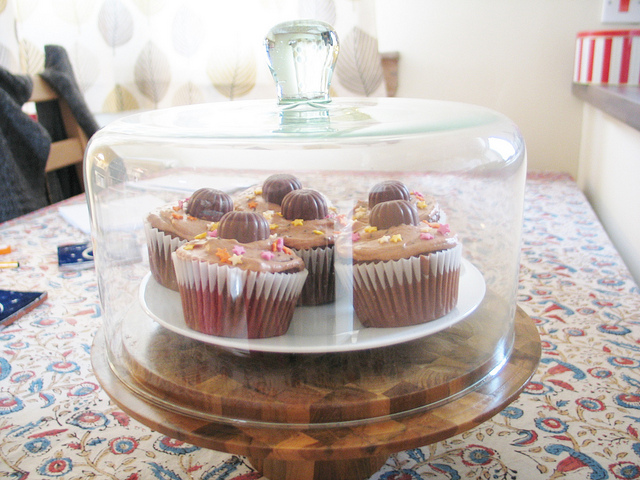 Cake dome + triple chocolate ganache truffle cupcakes (#whatveganseat)