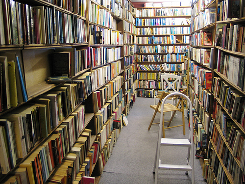 Bookcase Books in Carlisle.  Place of dreams.