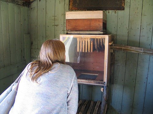 Secret Herb Garden, Edinburgh