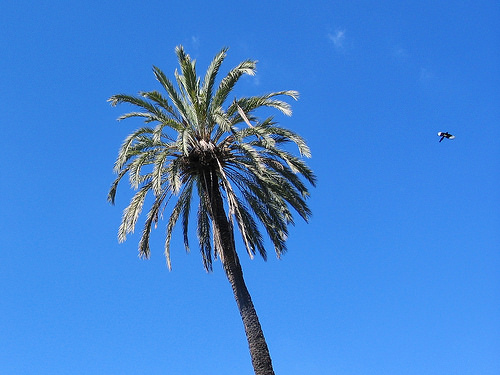 Barcelona Autumn 2014 (14)