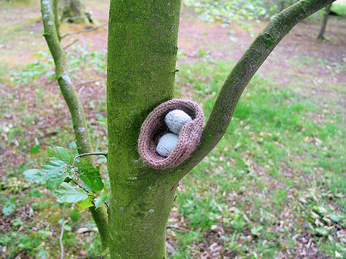 A trip to Talkin Tarn