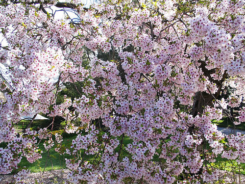 Recent Edinburgh adventures...