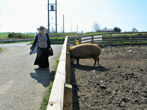 Secret Herb Garden, Old Pentland