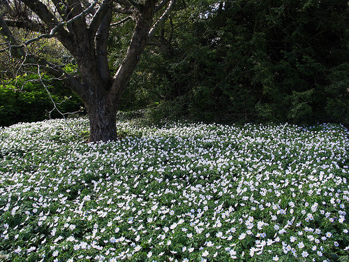 Recent Edinburgh adventures...