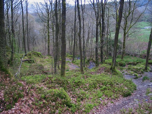 Adventures in Wordsworth Country, Apr 14