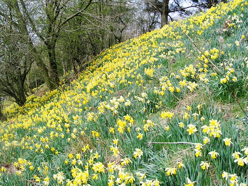 Adventures in Wordsworth Country, Apr 14