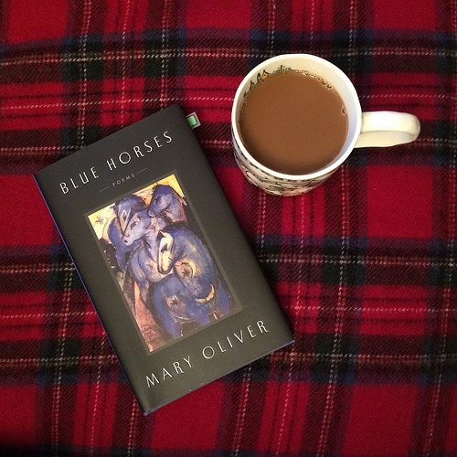 Reading Blue Horses by Mary Oliver