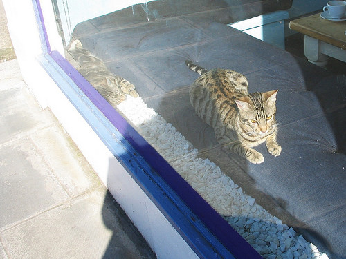 Recent Edinburgh adventures...