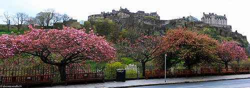 New 70D Pan Edinburgh Castle - 01