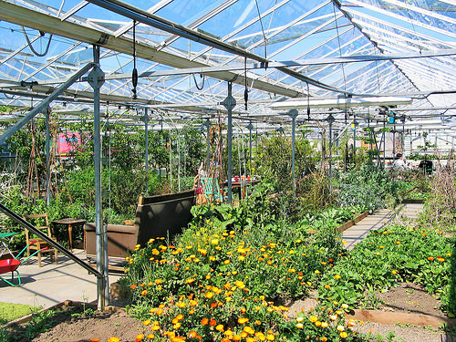 Secret Herb Garden, Old Pentland