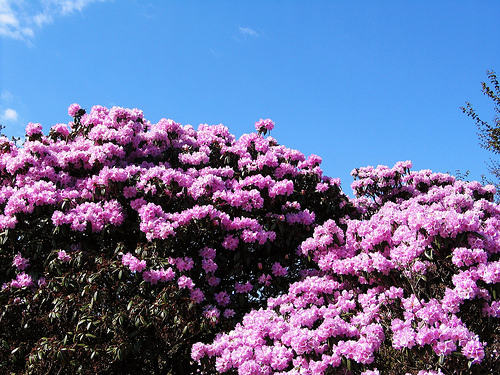 Recent Edinburgh adventures...